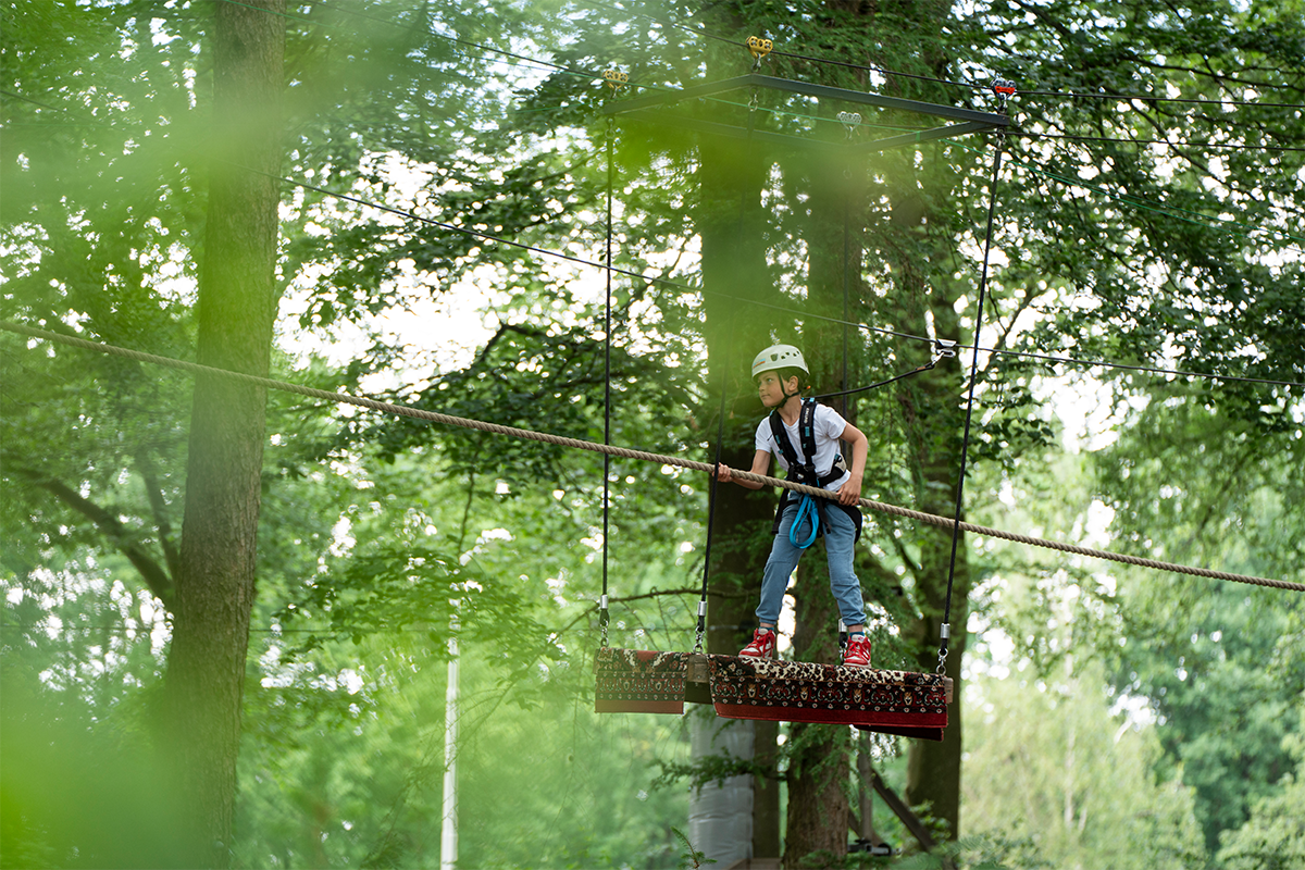  2,5 uur klimmen bij Klimbos Harderwijk incl. Free Fall