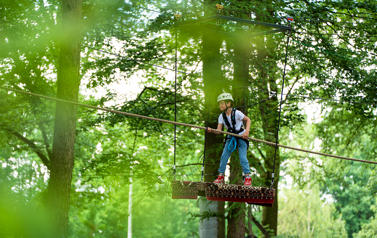 2,5 uur klimmen bij Klimbos Harderwijk incl. Free Fall