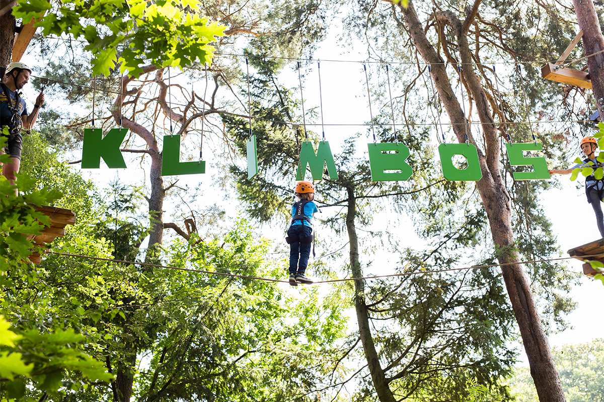  2,5 uur klimmen bij Klimbos Harderwijk incl. Free Fall