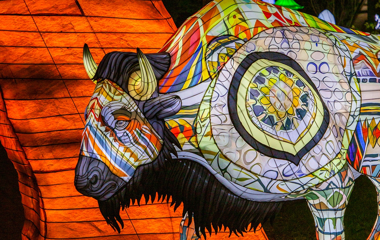 Entreeticket Light Nights Ouwehands Dierenpark