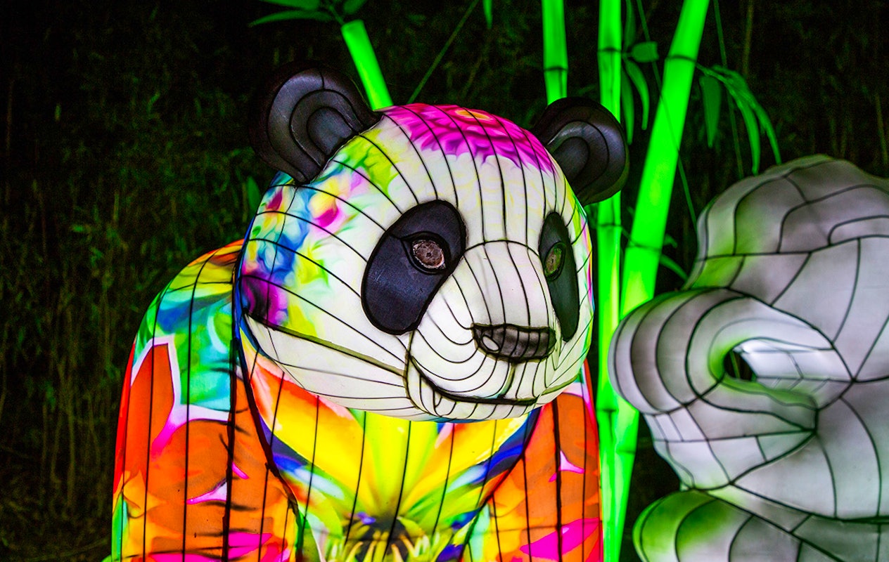 Entreeticket Light Nights Ouwehands Dierenpark