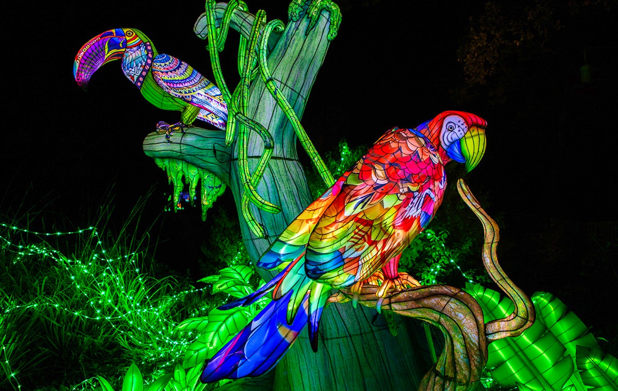 Entreeticket Light Nights Ouwehands Dierenpark