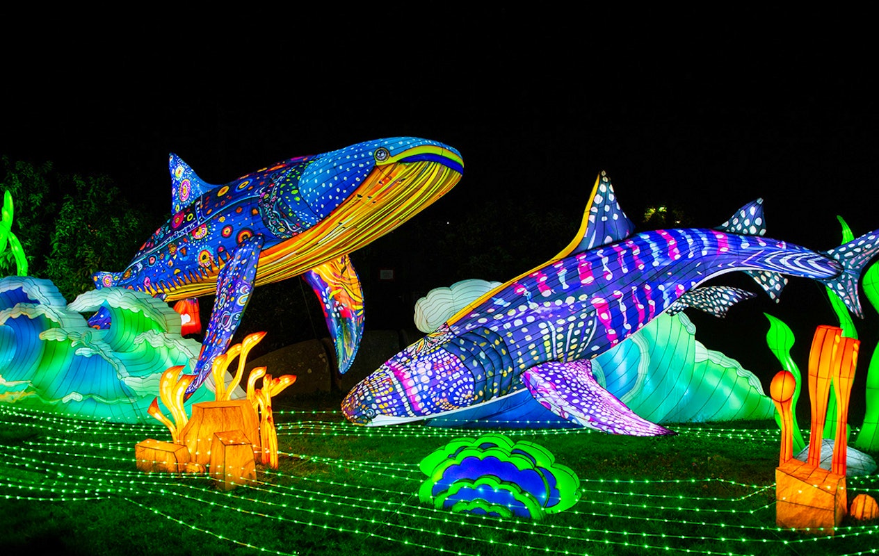 Entreeticket Light Nights Ouwehands Dierenpark