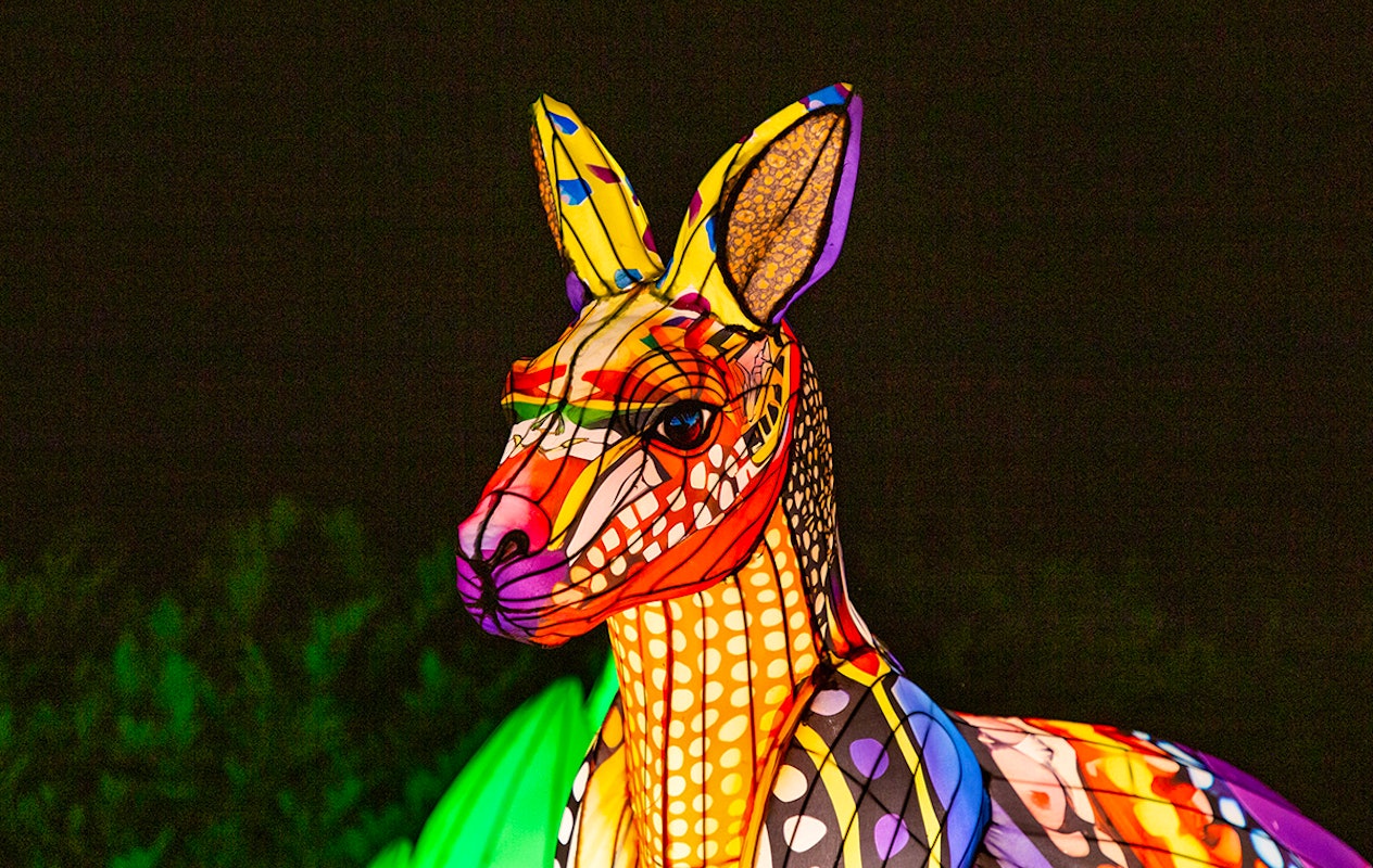 Entreeticket Light Nights Ouwehands Dierenpark