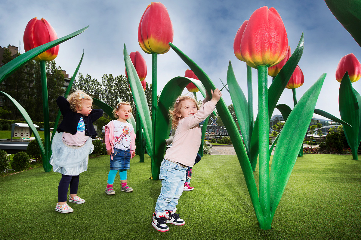 Entreeticket Madurodam