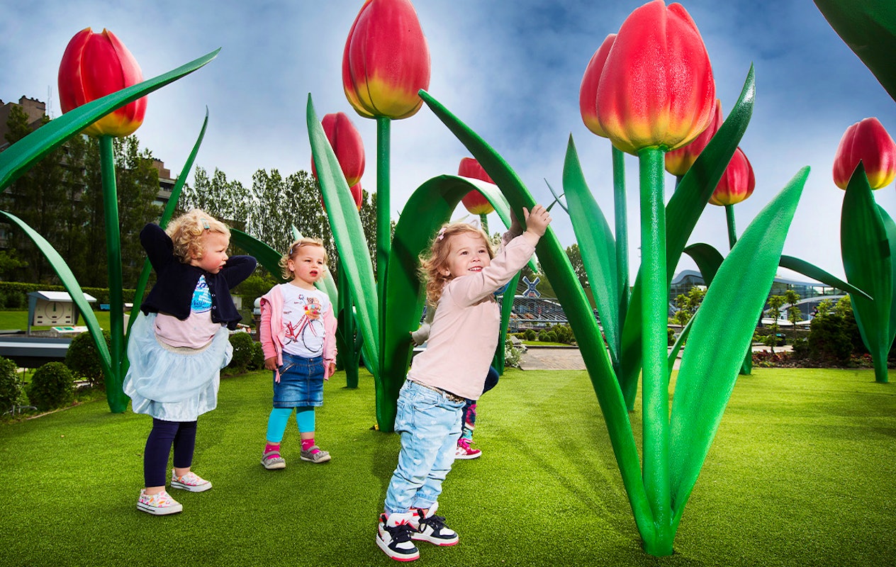 Entreeticket Madurodam