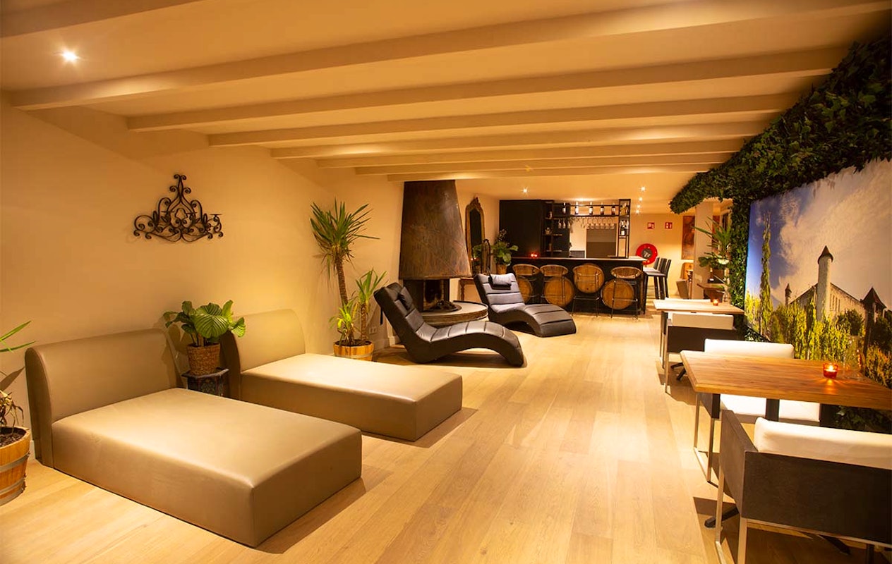 Dagentree + evt. 3-gangen diner bij Wine & Wellness