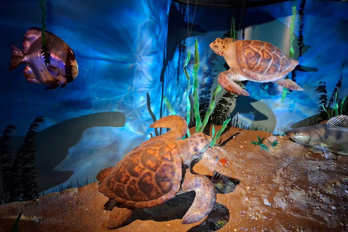 Entreeticket MergelRijk Valkenburg