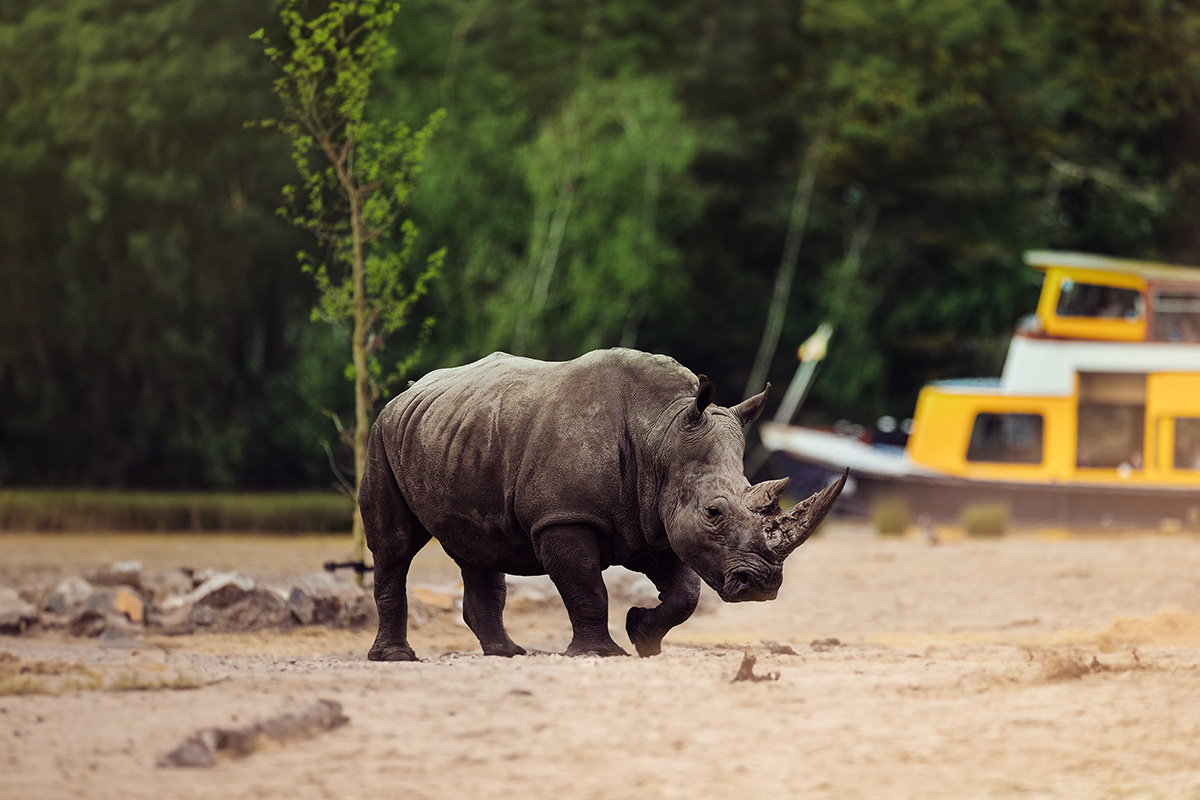 Entreeticket Safaripark Beekse Bergen