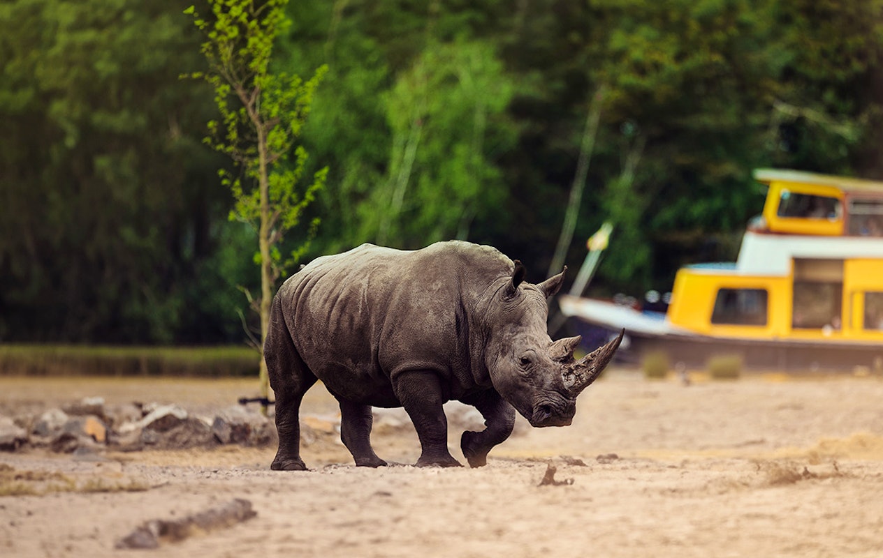 Entreeticket Safaripark Beekse Bergen
