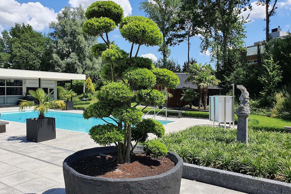 Entree Sauna Dennenmarken + behandeling/glaasje bubbels of maaltijdsalade