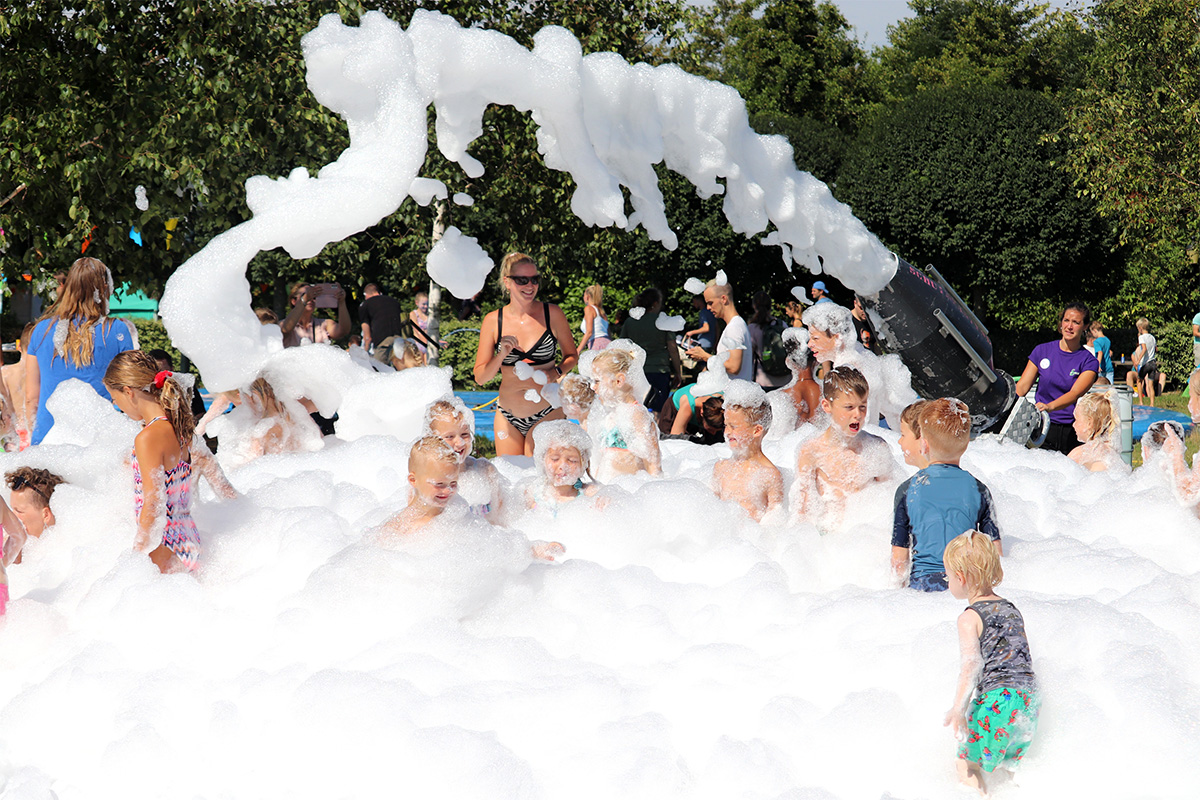 Entreeticket Swaanzinnig Familie Festival 