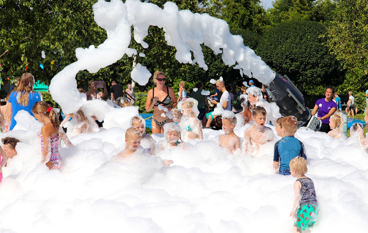 Entreeticket Swaanzinnig Familie Festival