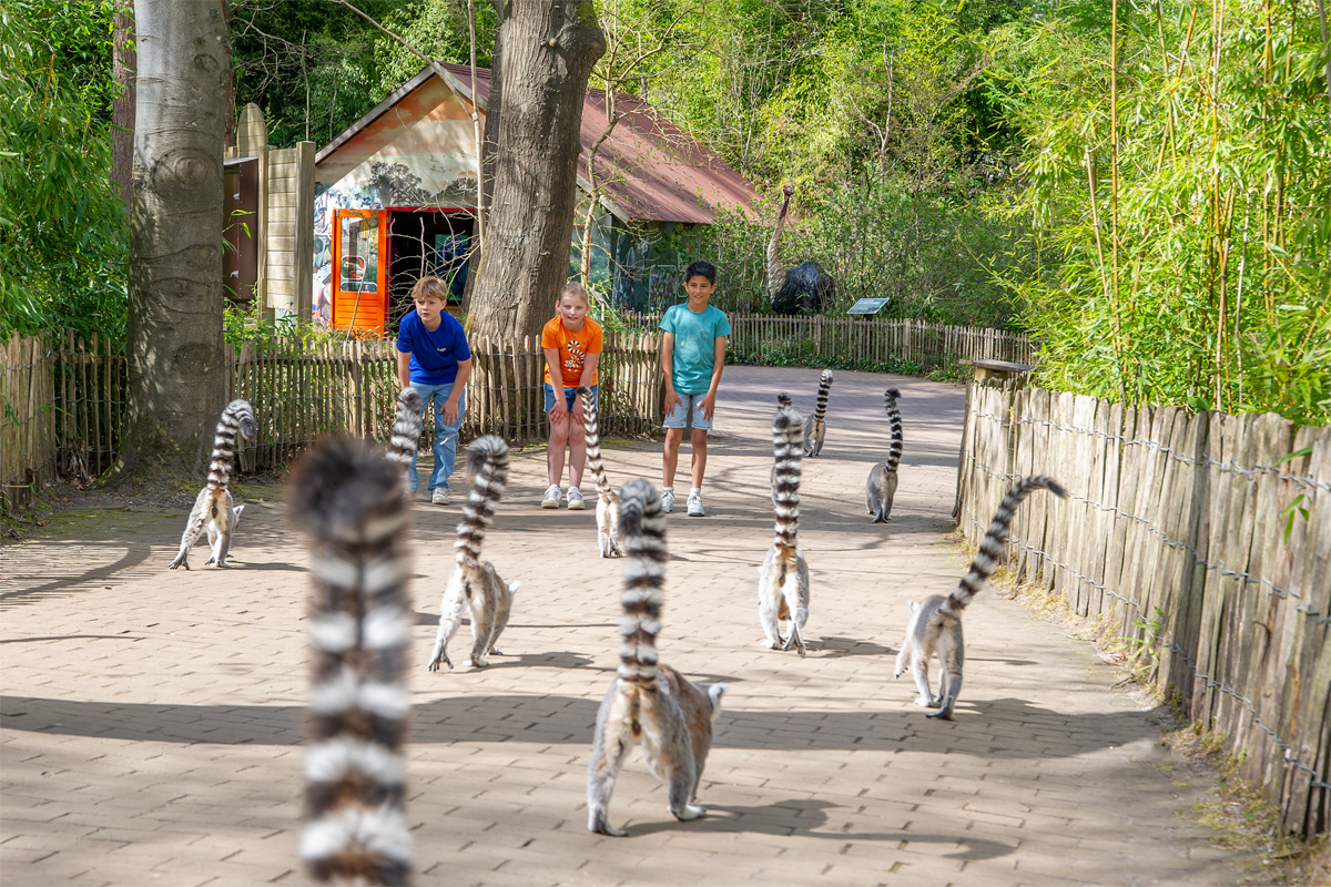 Entreeticket Apenheul