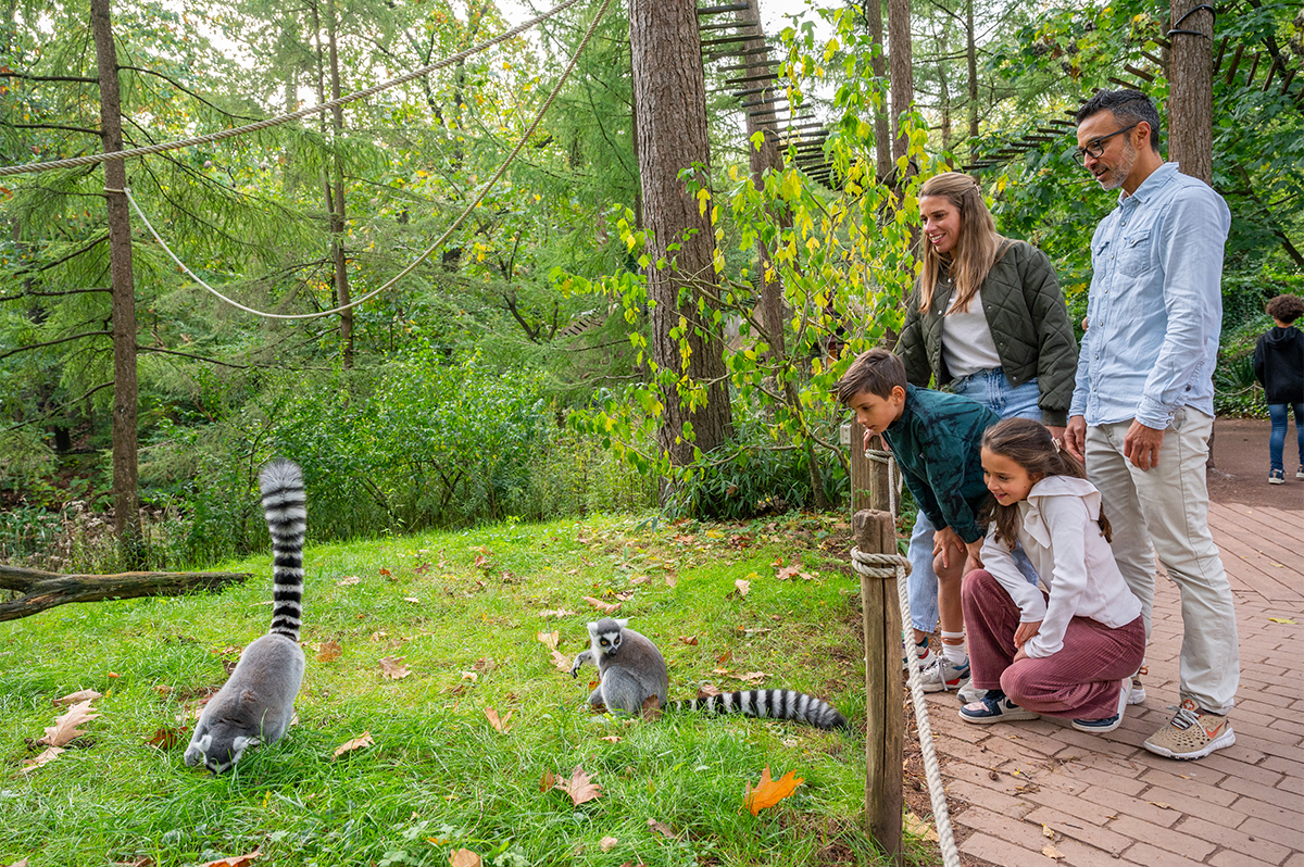 Entreeticket Apenheul