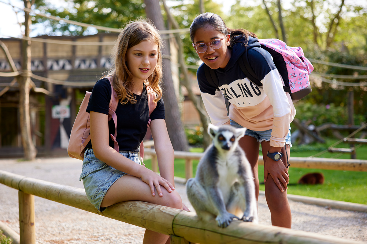 Entreeticket Bellewaerde Park