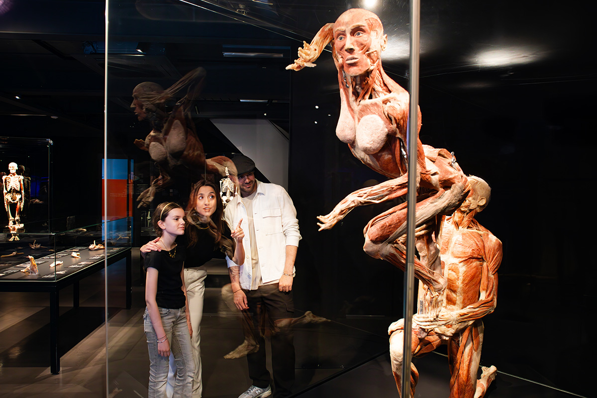 Entreeticket BODY WORLDS