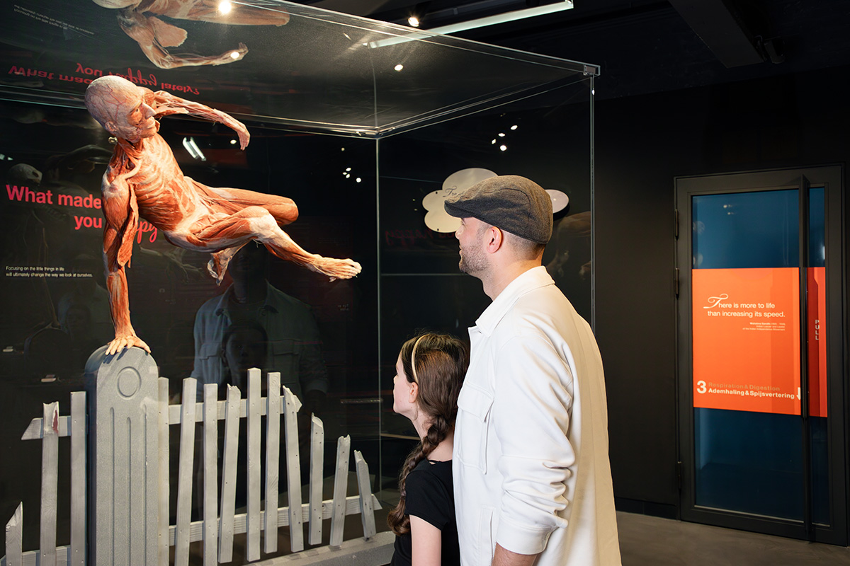 Entreeticket BODY WORLDS