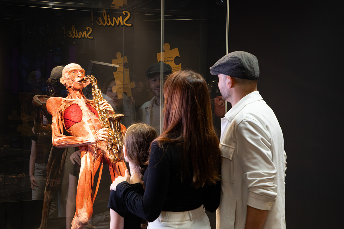 Entreeticket BODY WORLDS