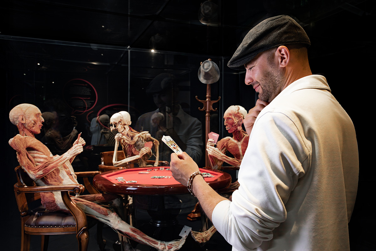 Entreeticket BODY WORLDS