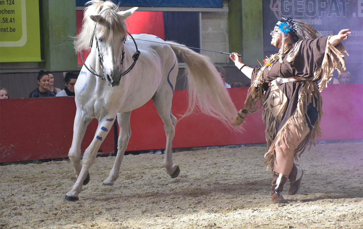 Entreeticket Dancing with Horses