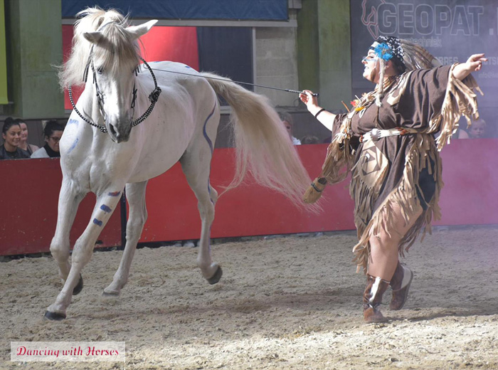 Entreeticket Dancing with Horses