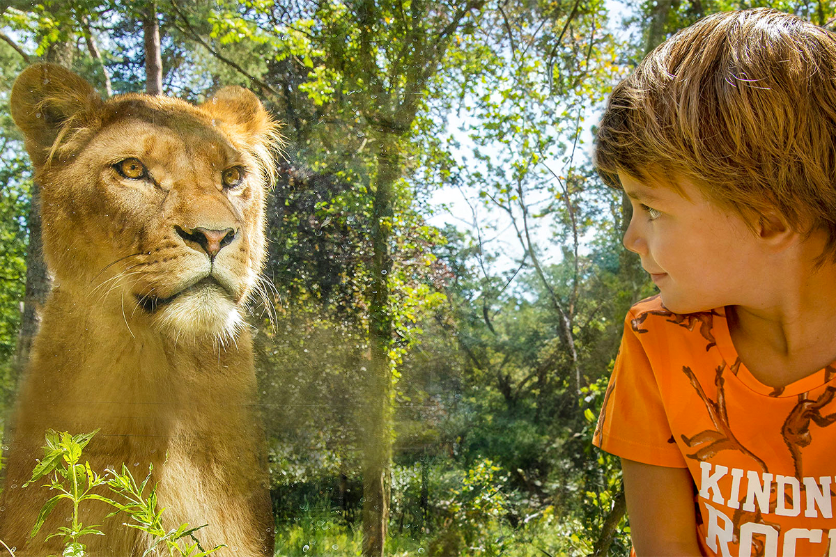 Entreeticket DierenPark Amersfoort
