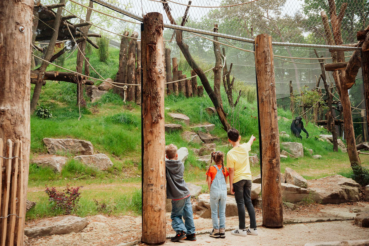 Entreeticket DierenPark Amersfoort