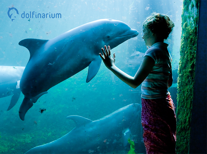Entreeticket Dolfinarium
