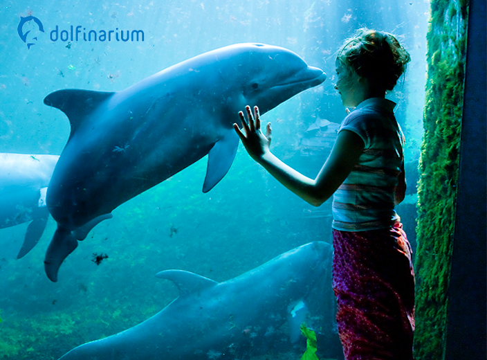 Entreeticket Dolfinarium
