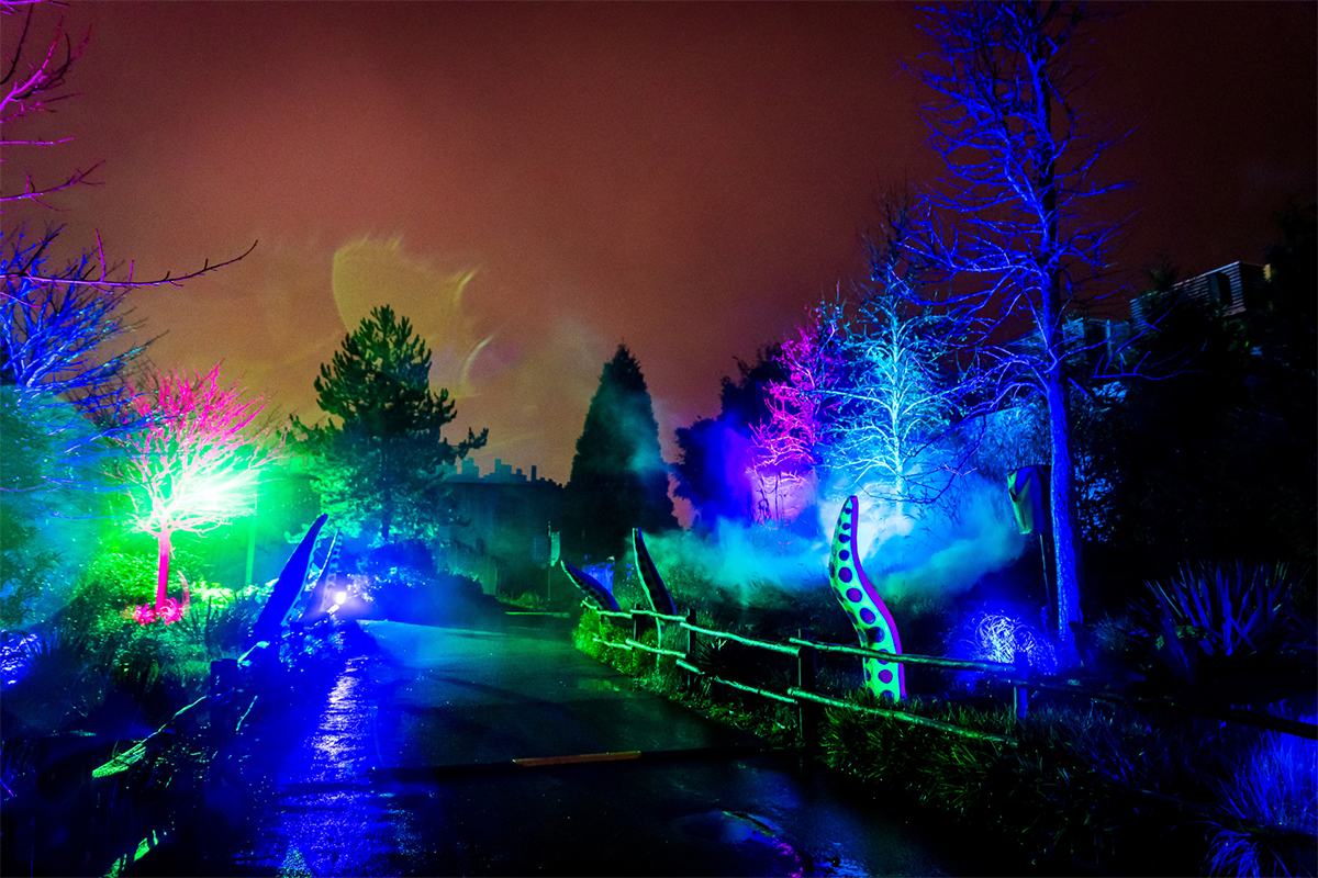 Entreeticket Dolfinarium Lights of Nature