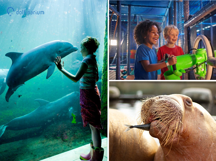 Entreeticket Dolfinarium