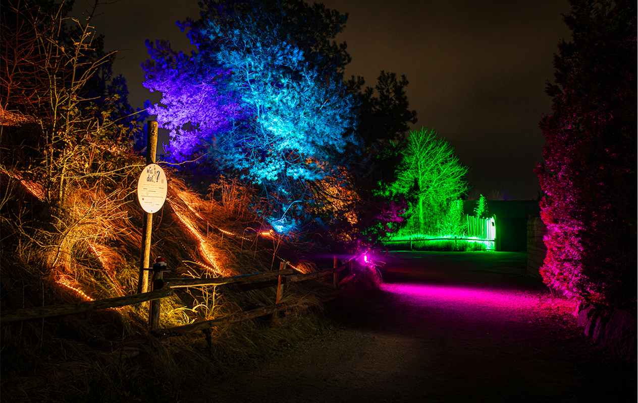 Entreeticket Dolfinarium Lights of Nature