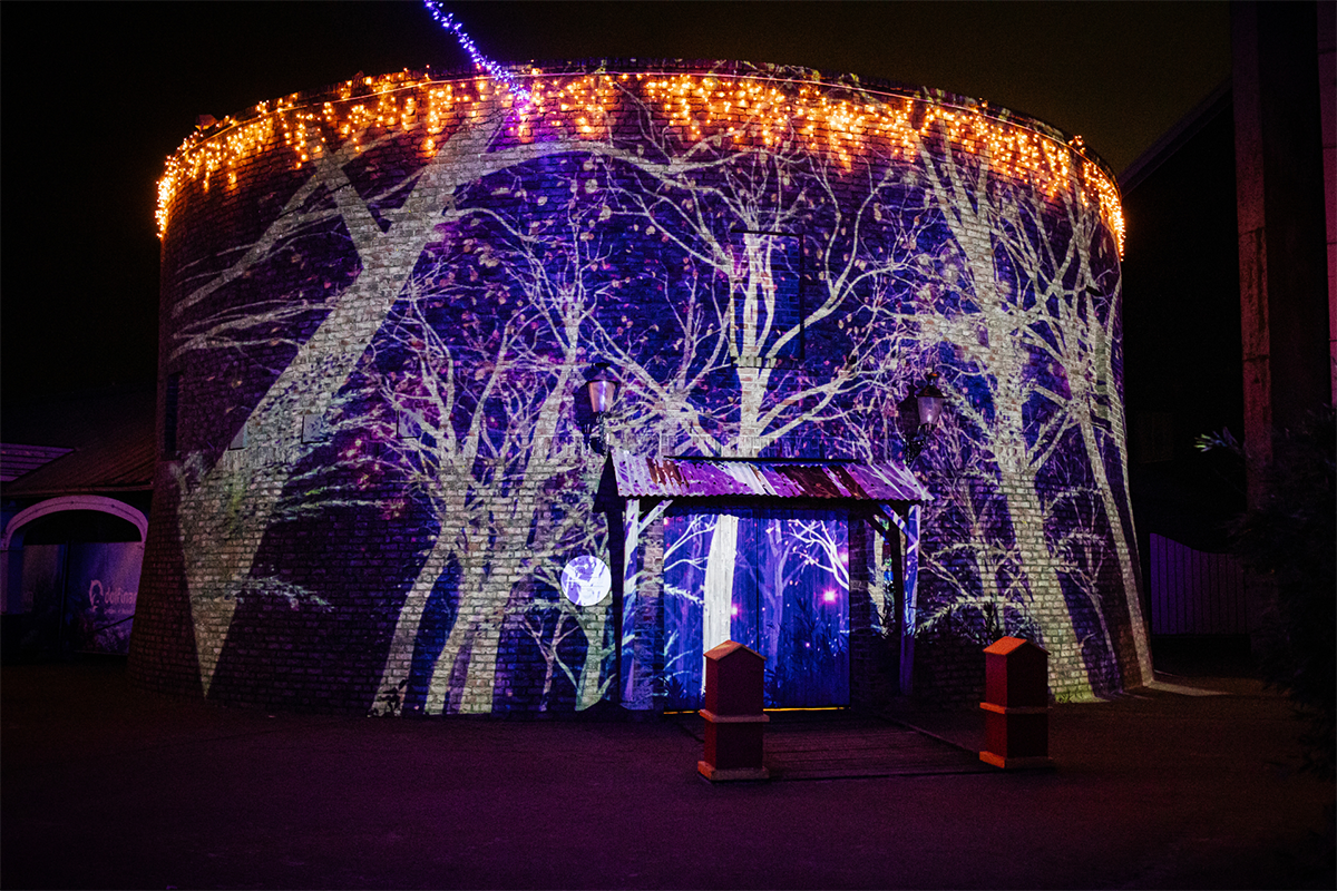 Entreeticket Dolfinarium Lights of Nature