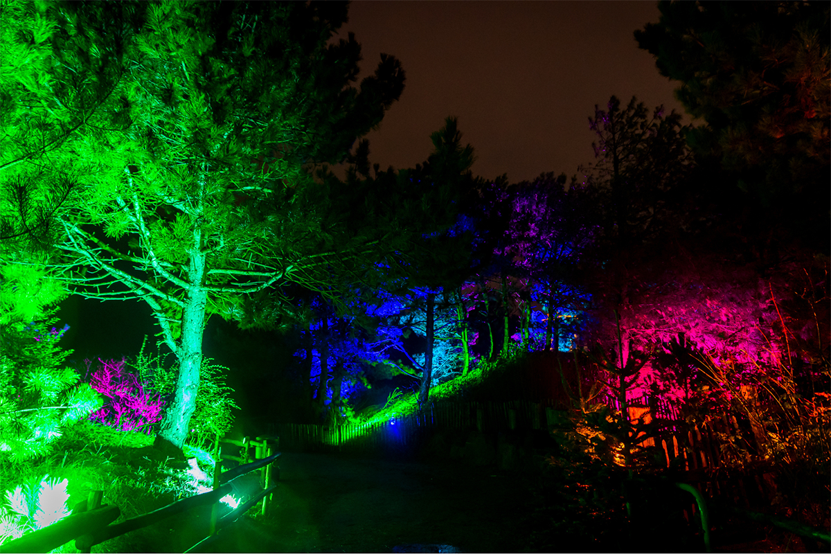 Entreeticket Dolfinarium Lights of Nature