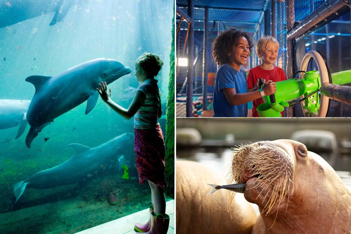 Dolfinarium-tickets