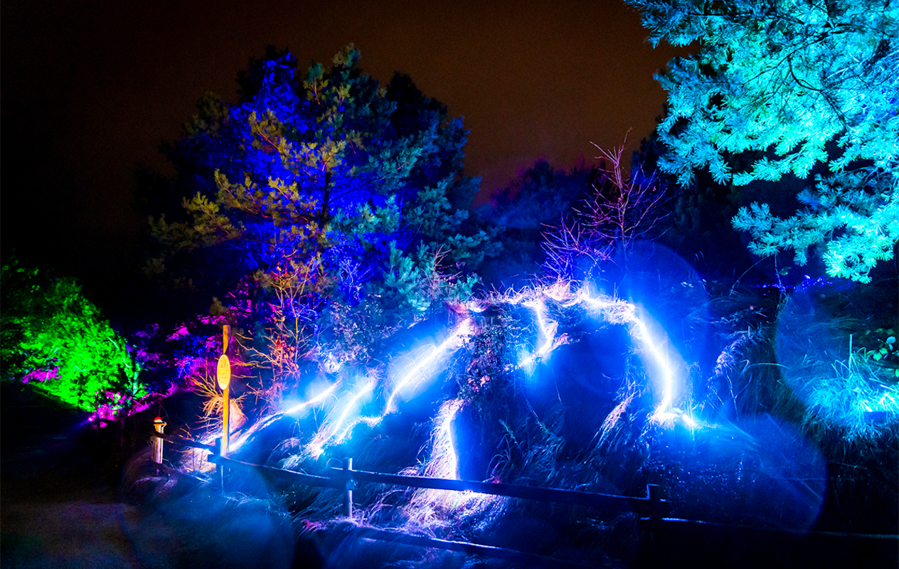 Entreeticket Dolfinarium Lights of Nature