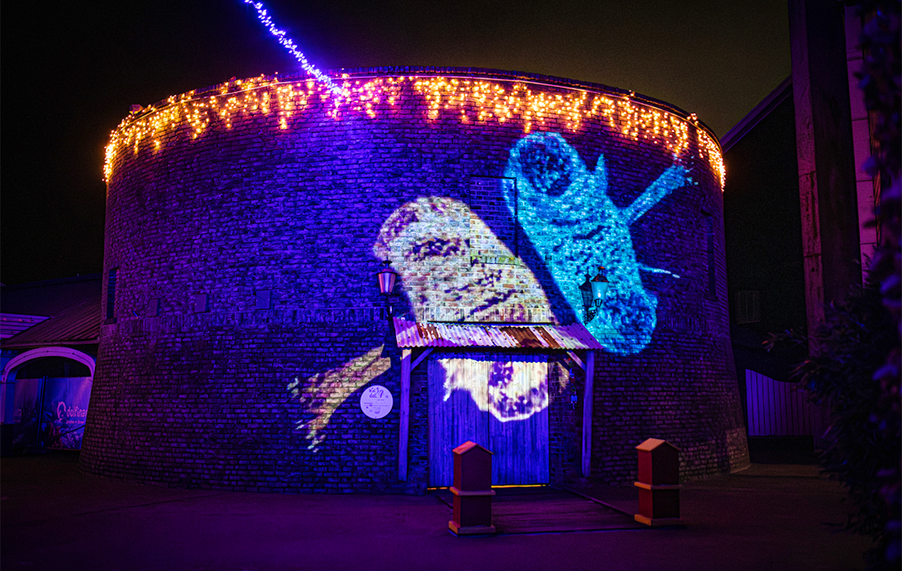 Entreeticket Dolfinarium Lights of Nature