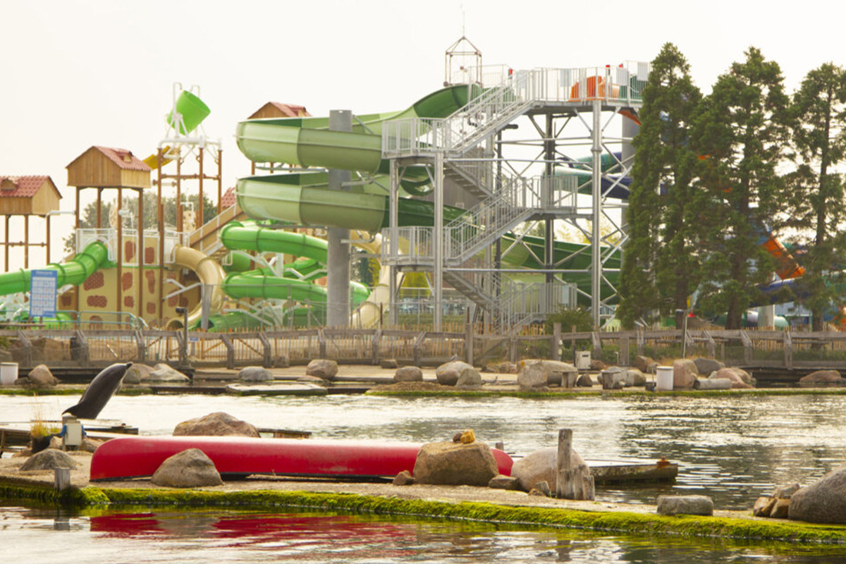 Dolfinarium tickets