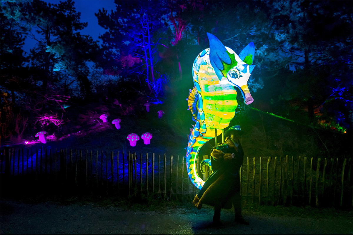 Entreeticket Dolfinarium Lights of Nature