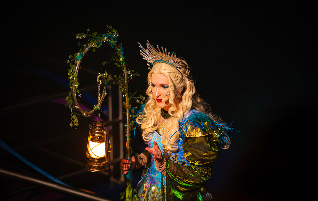 Entreeticket Dolfinarium Lights of Nature