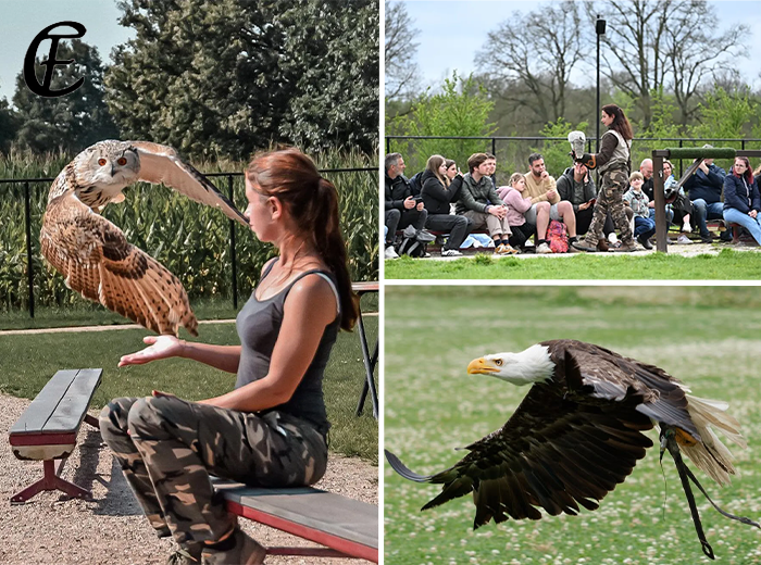 Entreeticket Falconcrest Eindhoven