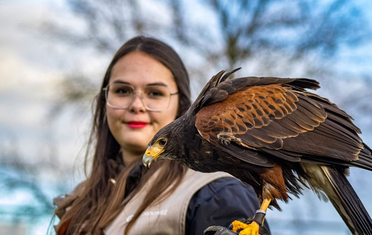 Entreeticket Falconcrest Eindhoven