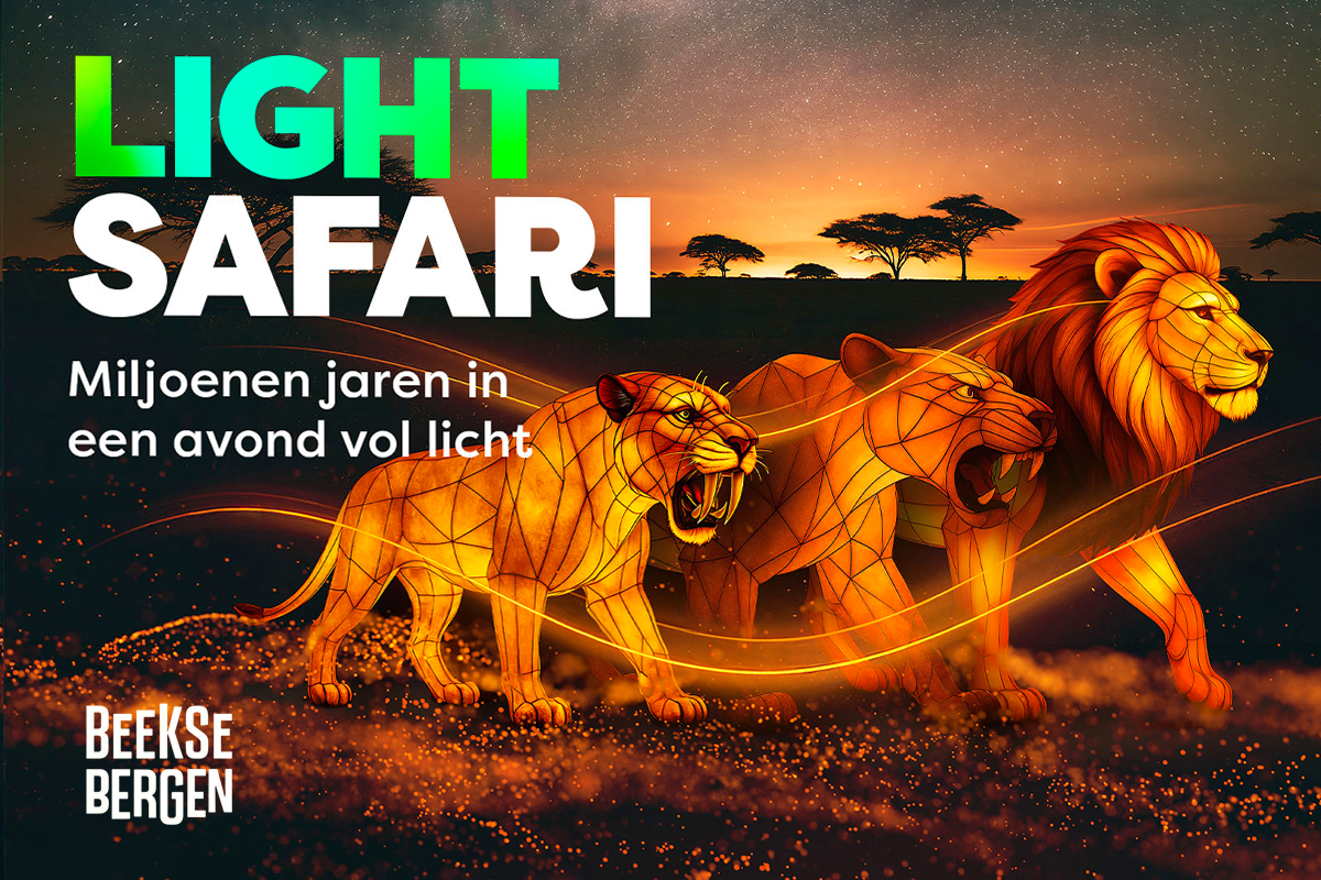 Entreeticket Light Safari Beekse Bergen