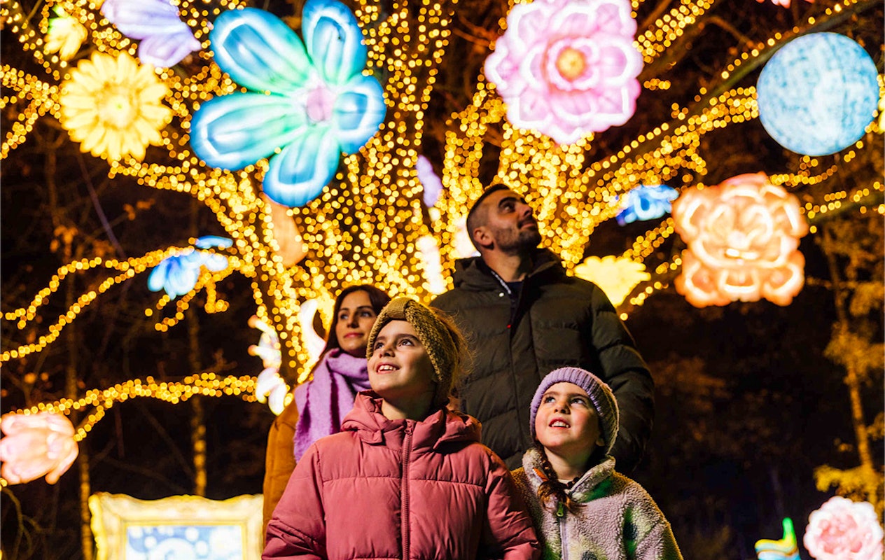 Entreeticket Light Safari Beekse Bergen