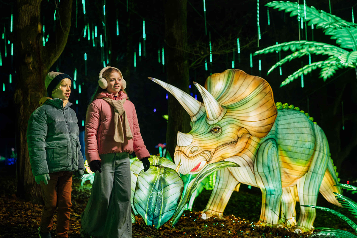 Entreeticket Light Safari Beekse Bergen