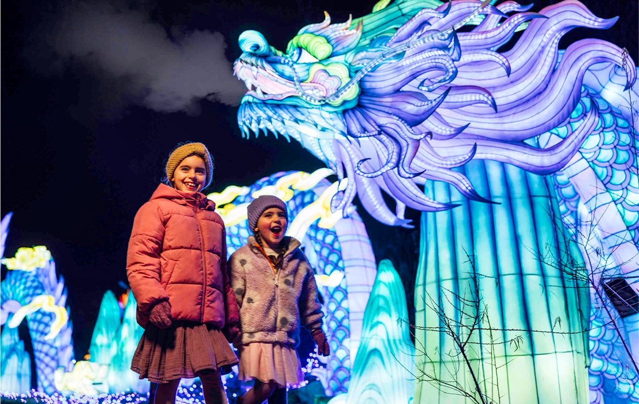 Entreeticket Light Safari Beekse Bergen