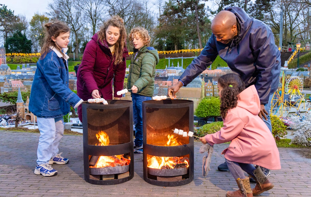 Entreeticket Madurodam