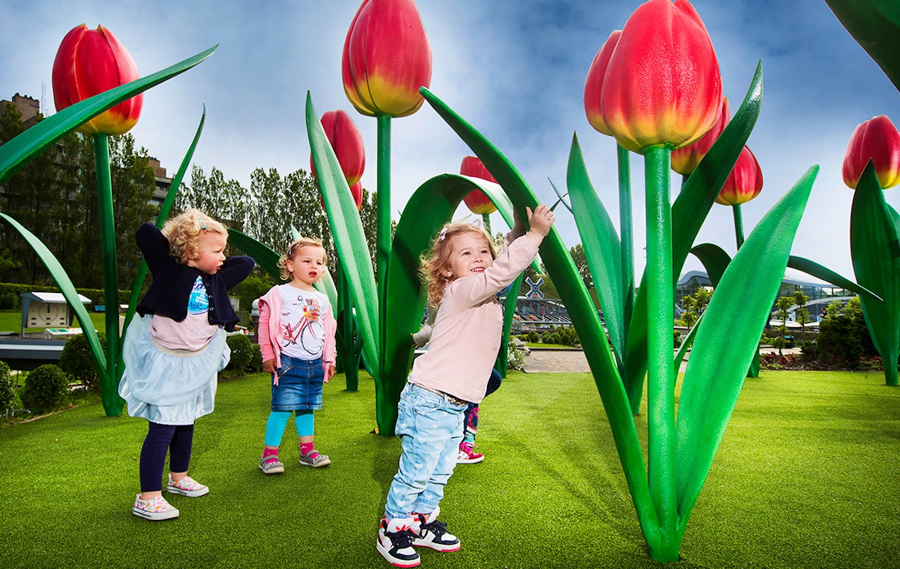 Entreeticket Madurodam