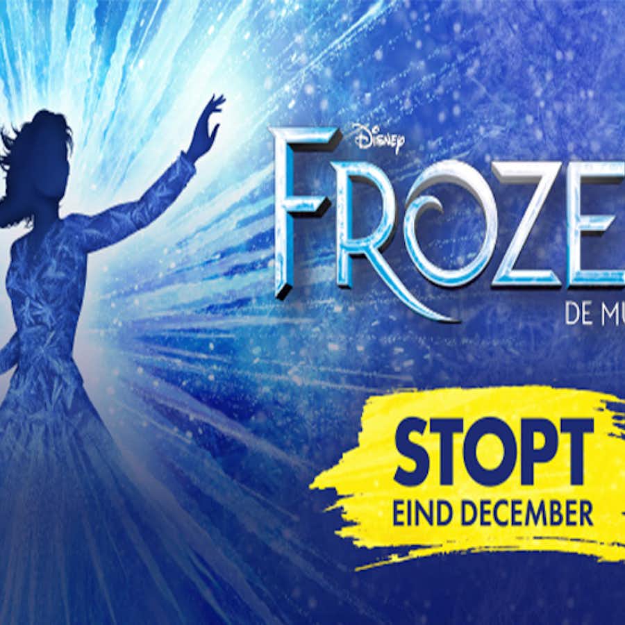 Premium +, Premium, 1e- of 2e rang ticket voor de musical Disney FROZEN